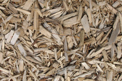 biomass boilers Lamanva