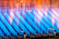 Lamanva gas fired boilers
